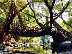 Mawlynnong, Meghalaya