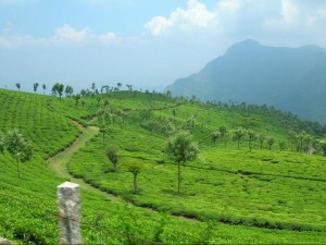 Ooty travel