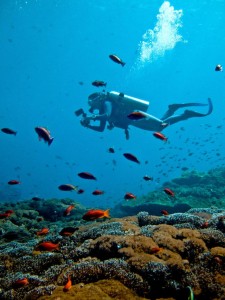 diving is fun
